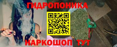 эйфоретик Кимры