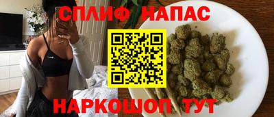 эйфоретик Кимры