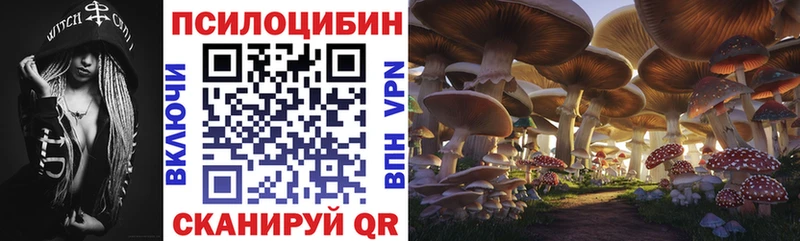 Псилоцибиновые грибы Psilocybe  где можно купить наркотик  Дальнереченск 
