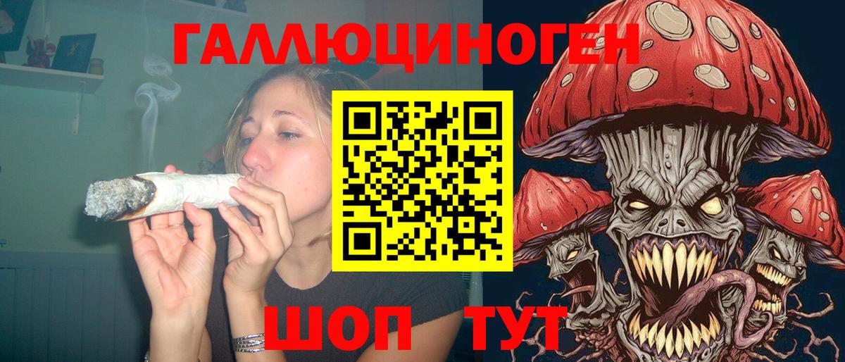 Псилоцибиновые грибы прущие грибы  Вход с VPN  Дальнереченск  Псилоцибиновые грибы Psilocybe 